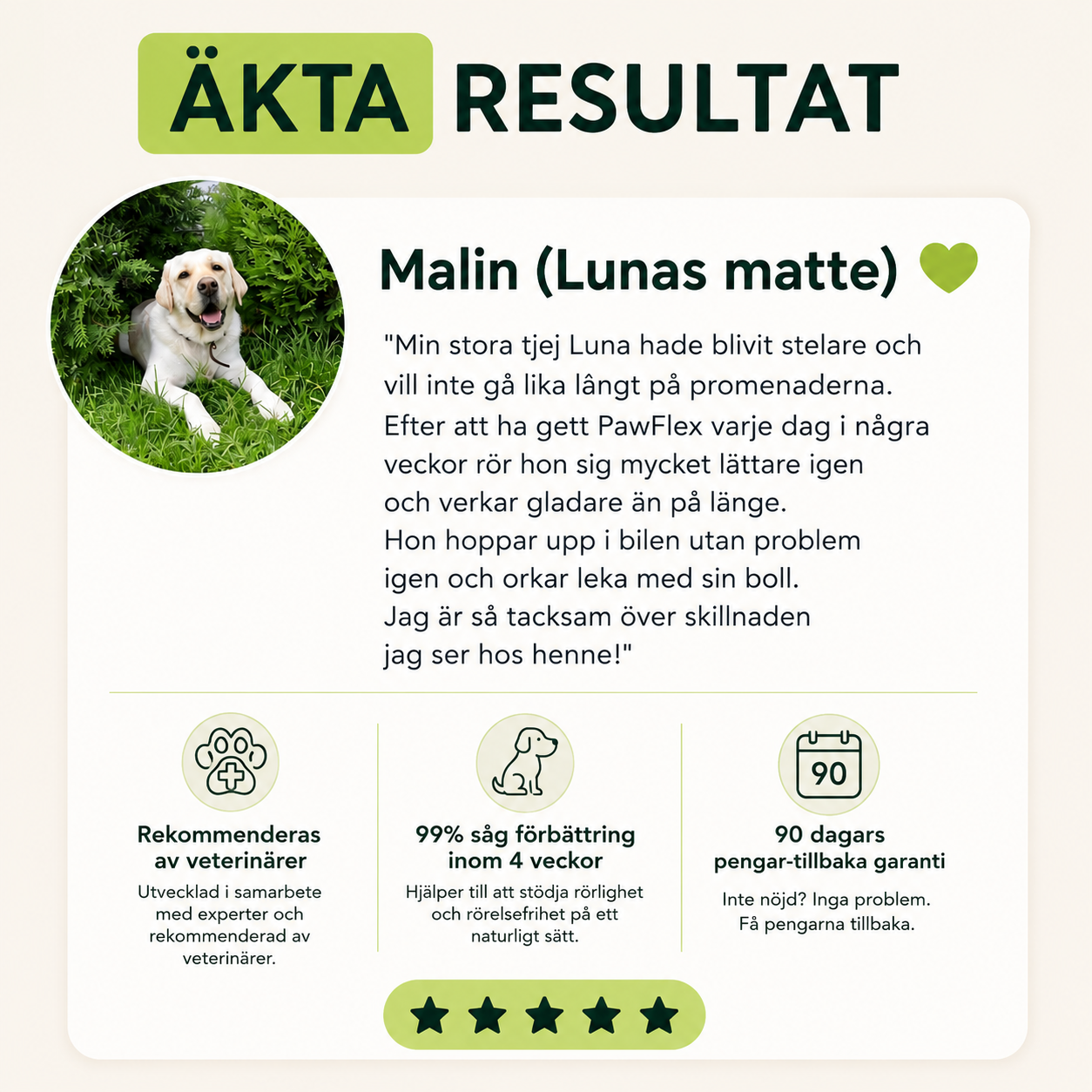 PawFlex™ | Stöd för Leder & Rörlighet hos Hundar