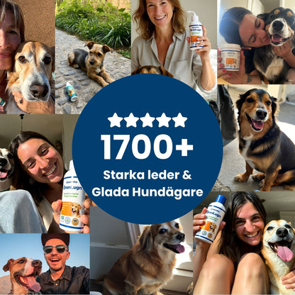 ÖronLugn™ Hund Öronrengöring