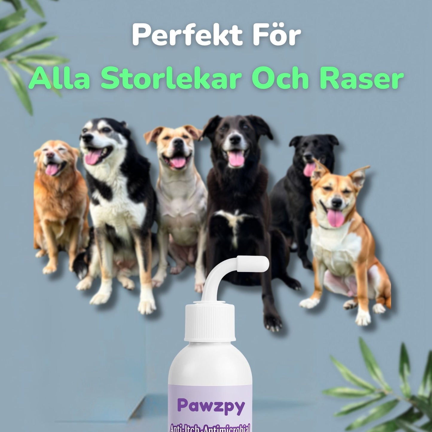 ÖronLugn™ Hund Öronrengöring