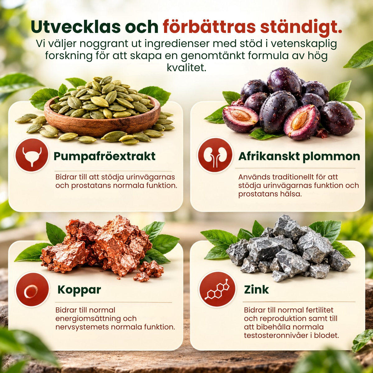 Ingredienser i Prostiva: pumpafröextrakt, afrikanskt plommon, koppar och zink
