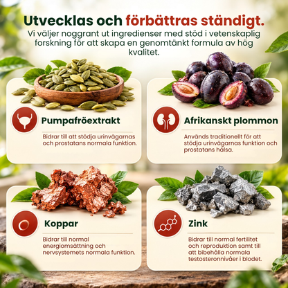 Ingredienser i Prostiva: pumpafröextrakt, afrikanskt plommon, koppar och zink