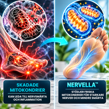Nervella™ | Vingummin för nervhälsa och normal nervfunktion