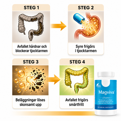 Magviva™ | Dagligt stöd för mjukare avföring och en lättare magkänsla