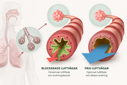 Respira™ | Befriar luftvägarna från slem och blockeringar på bara 5 minuter