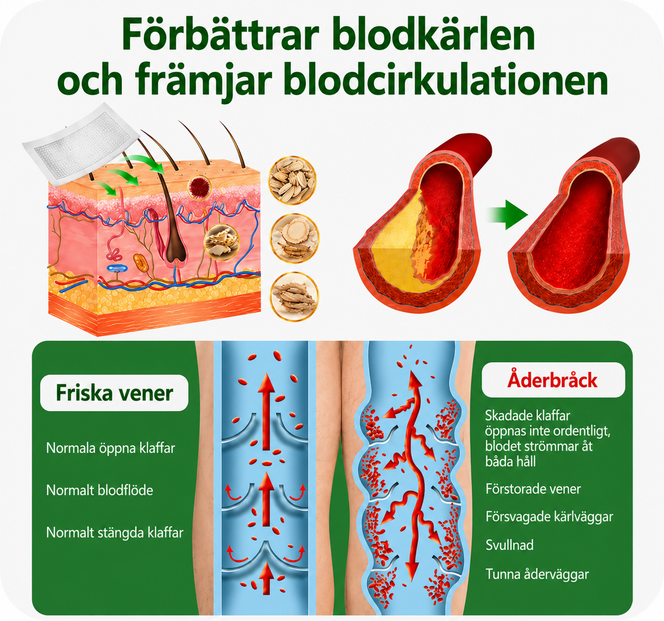 Venora™ | Minska synliga åderbråck och få lättare ben på bara 14 dagar
