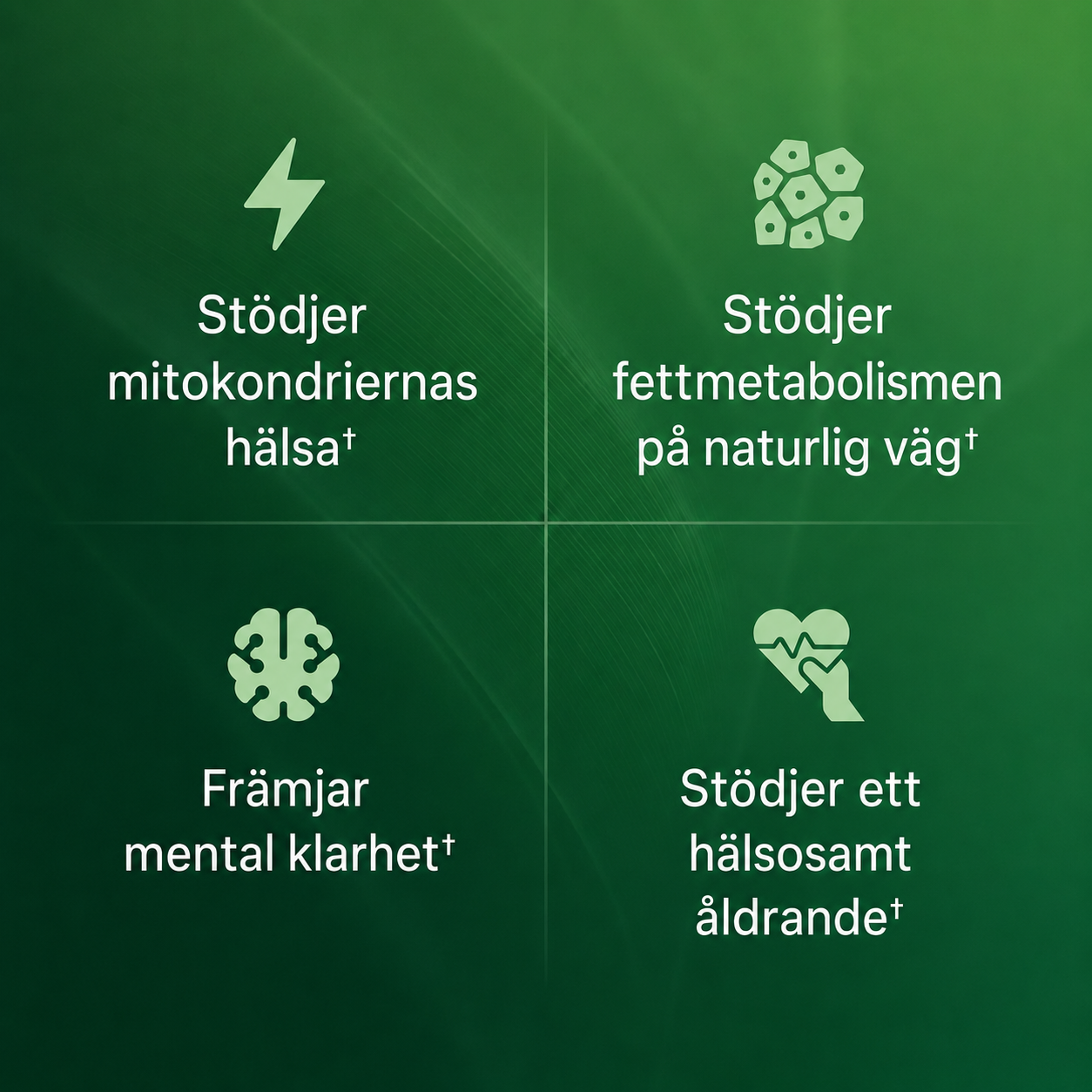 Enerliva™ – Kosttillskott för energi, fokus och mental klarhet