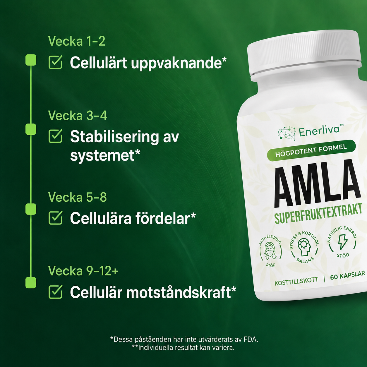 Enerliva™ – Kosttillskott för energi, fokus och mental klarhet