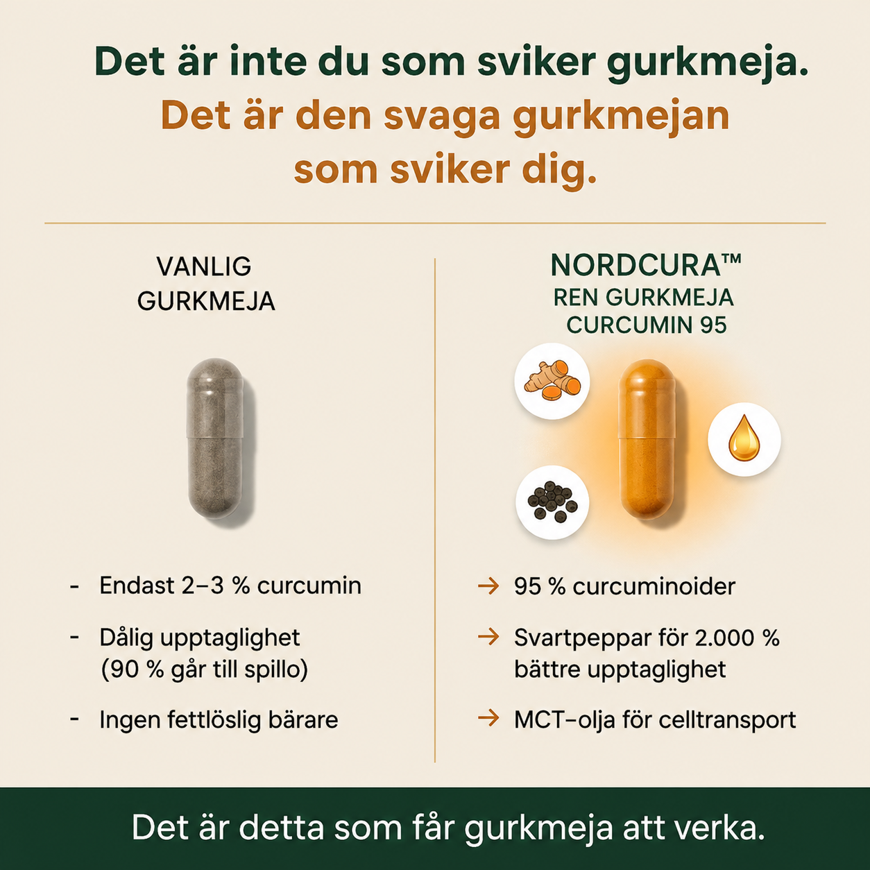 NordCura™ | Högkoncentrerat Curcumintillskott – 1000 mg