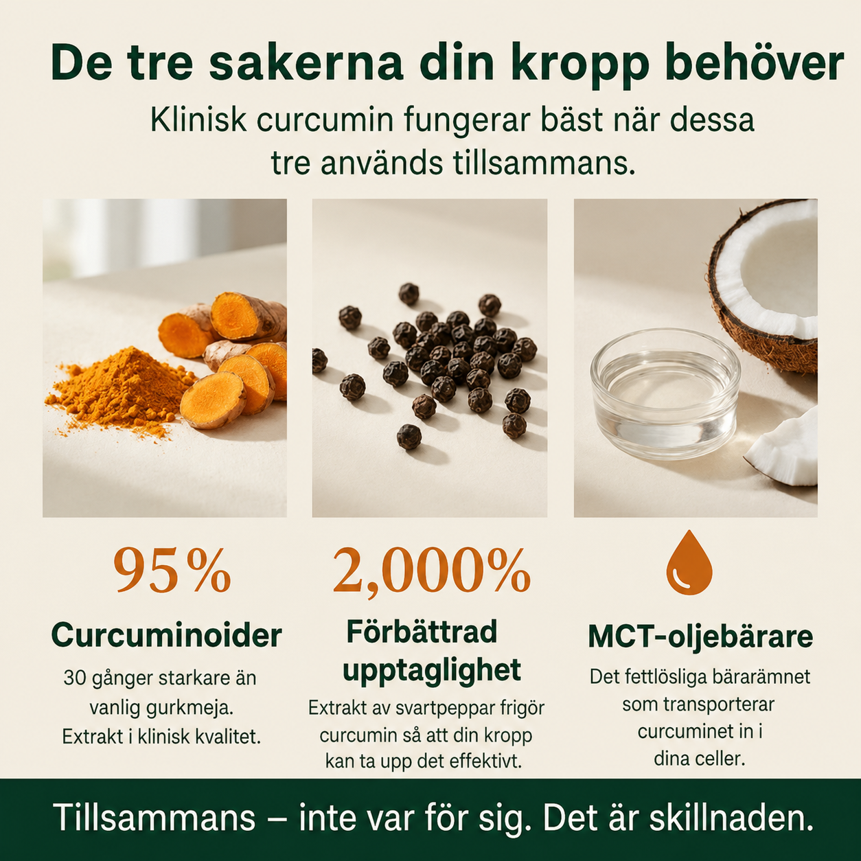 NordCura™ | Högkoncentrerat Curcumintillskott – 1000 mg