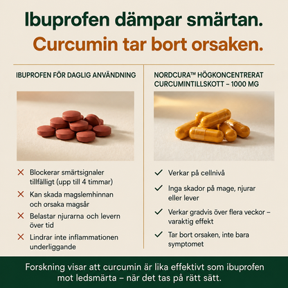 NordCura™ | Högkoncentrerat Curcumintillskott – 1000 mg