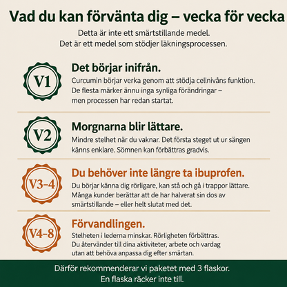 NordCura™ | Högkoncentrerat Curcumintillskott – 1000 mg