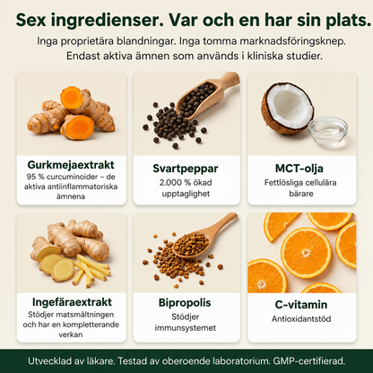 NordCura™ | Högkoncentrerat Curcumintillskott – 1000 mg