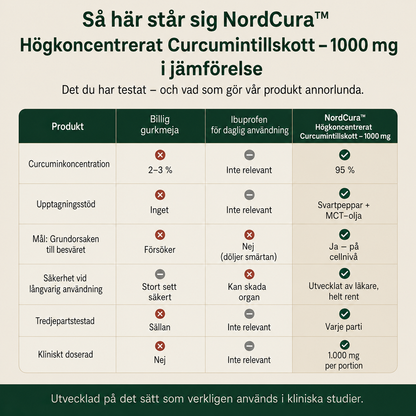 NordCura™ | Högkoncentrerat Curcumintillskott – 1000 mg