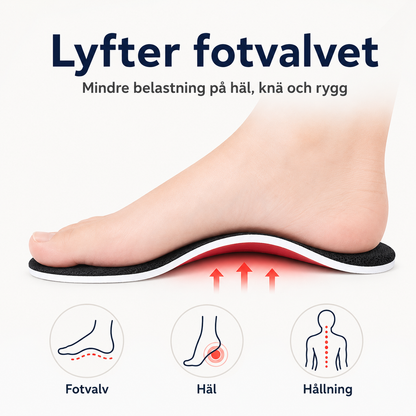 ErgoSteg™