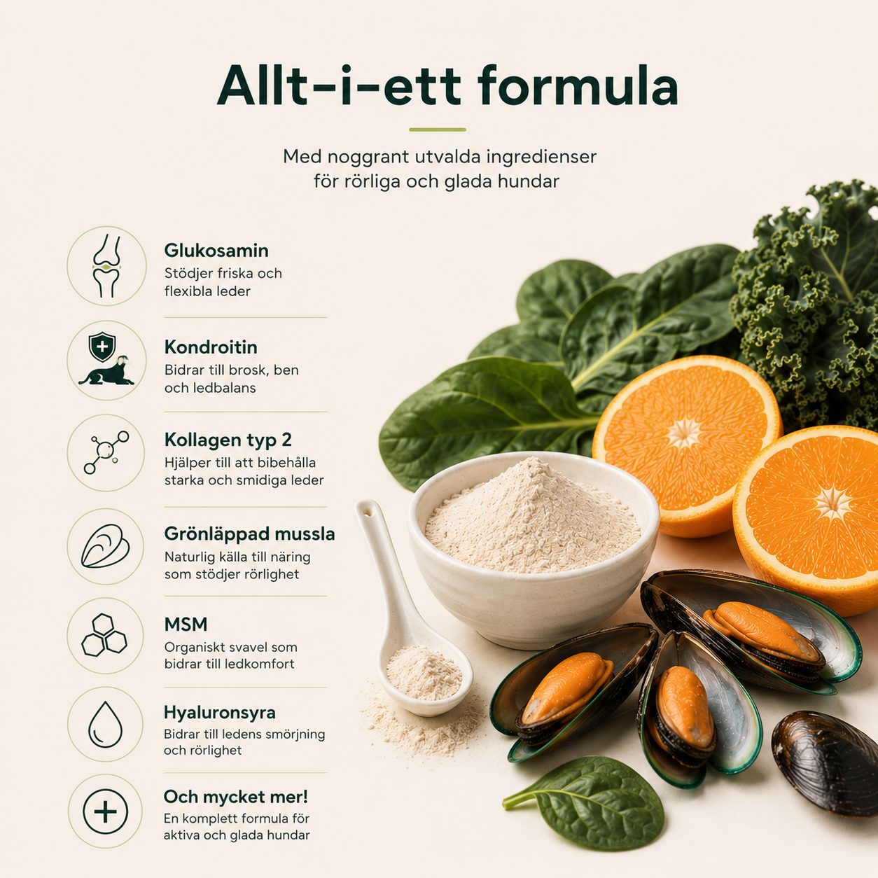 PawFlex™ | Stöd för Leder & Rörlighet hos Hundar
