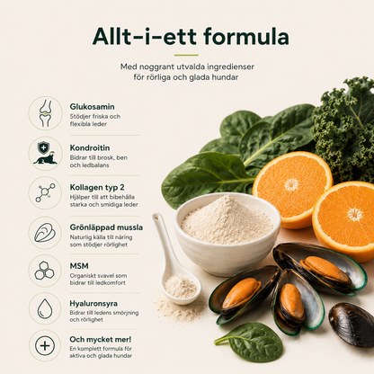 PawFlex™ | Stöd för Leder & Rörlighet hos Hundar