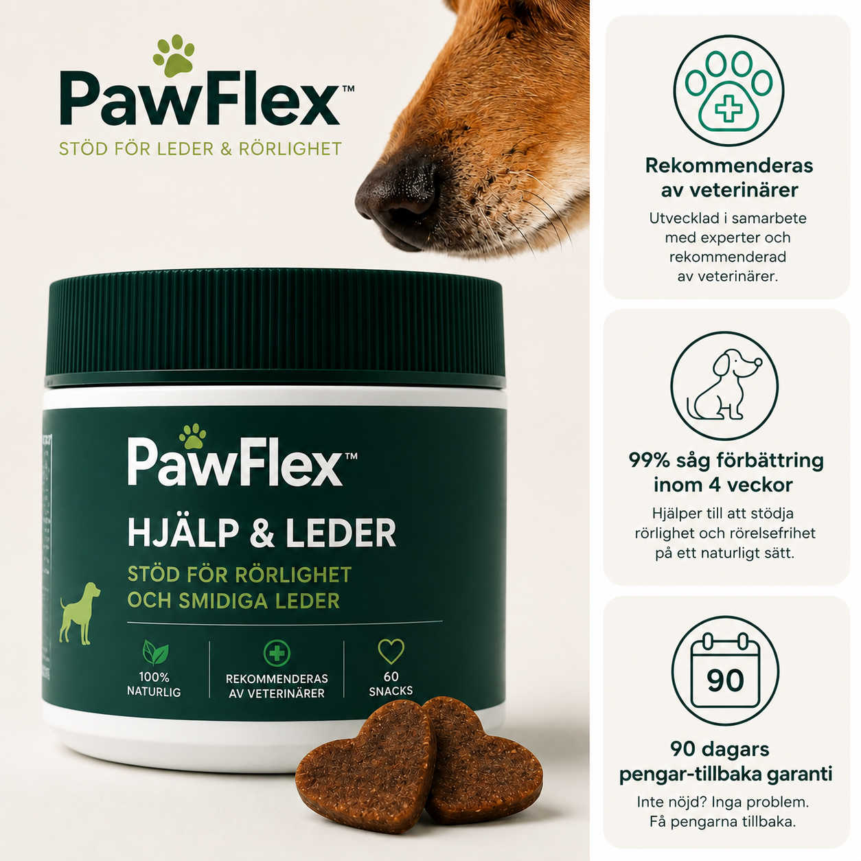 PawFlex™ | Stöd för Leder & Rörlighet hos Hundar