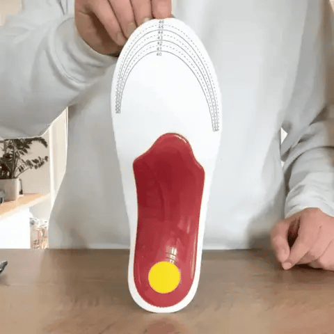 ErgoSteg™